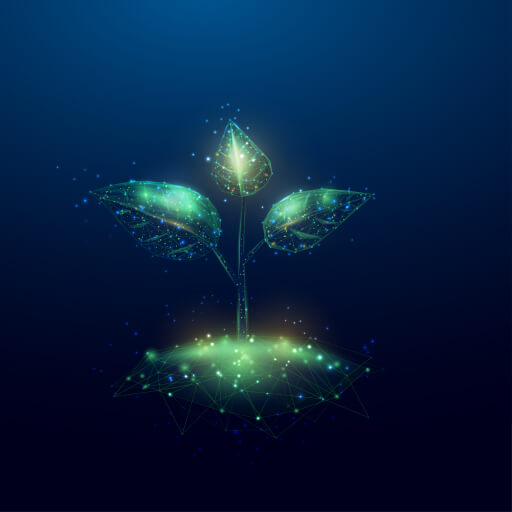 A low-poly seedling rendered as a lit network of nodes
